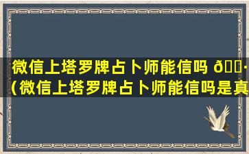 微信上塔罗牌占卜师能信吗 🌷 （微信上塔罗牌占卜师能信吗是真的吗）